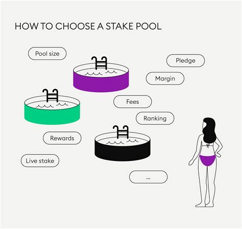 Understanding Staking Pools: A Comprehensive Guide - Stratos, Inc.