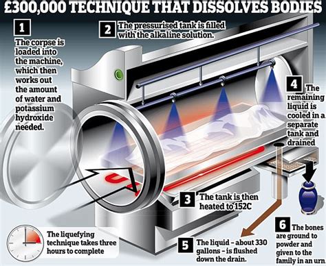 Council Will Water Cremate Bodies And Flush The Remains Daily Mail