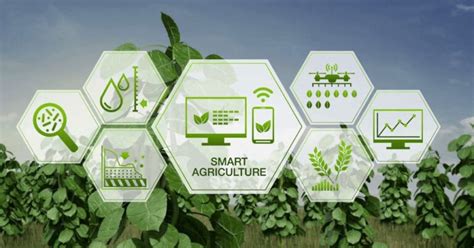 Agricultural Supply Chain Management And Traceability The Agrotech Daily