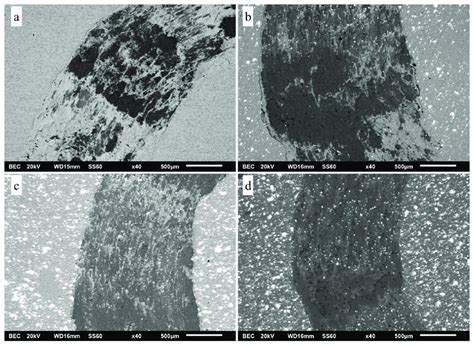 Wear Tracks As Acquired From Sem For The Monolithic Specimen A And