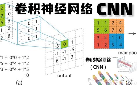 科普动画秒懂！草履虫都能看懂的【cnn卷积神经网络】理论讲解与项目实战，从卷积层到池化层的全过程。卷积神经网络实战演练卷积神经网络可视化卷