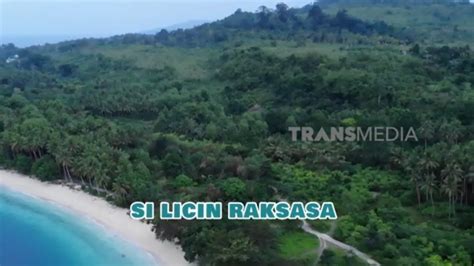 licin raksasa  otan  youtube