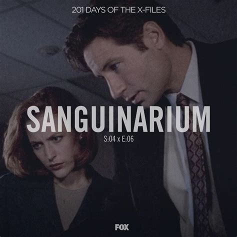 Pin By Noormidia Baharuddin On The X Files Episode Guide X Files