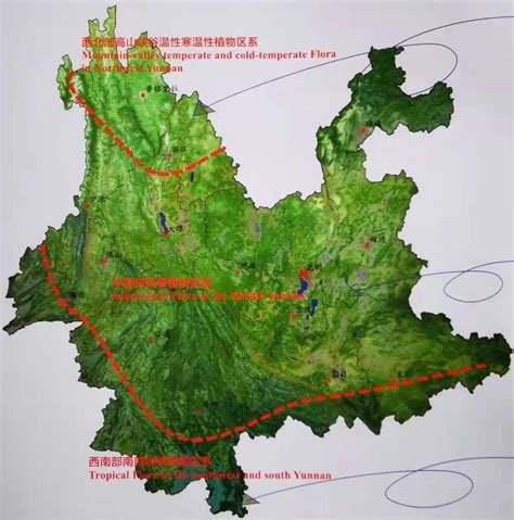 科学网—盘点云南植物的家底—— 写在cop15即将在昆明召开之际 周浙昆的博文