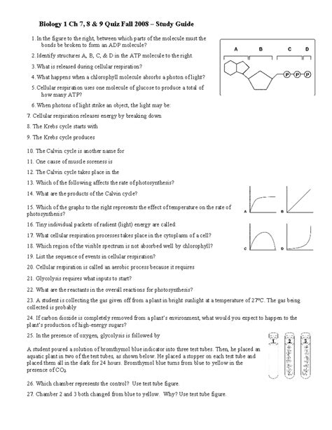 Ch 7,8,9 study guide 08 - Biology 1 Ch 7, 8 & 9 Quiz Fall 2008 – Study