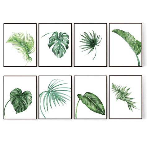 Leaf Prints Botanical Palm Leaf Wall Art Living Room Prints Leaf Posters Monstera Leaves