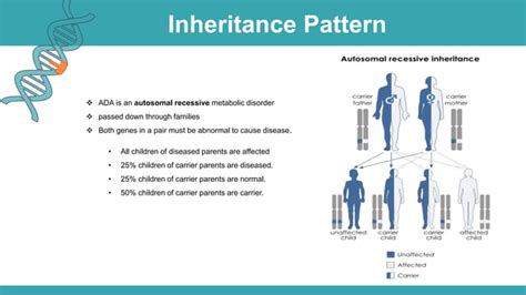 Adenosine Deaminase Deficiency | PPT