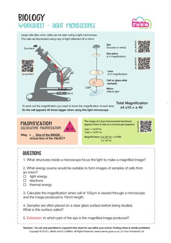 Aqa New Gcse Biology Microscopy And Total Magnification By Rehaank