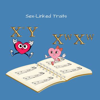 VALENTINE S DAY Genetics Heredity Inheritance Punnett Square SEX LINKED TRAITS