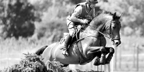 Sex Mit Pferden Polizei Ermittelt Nach Facebook Post