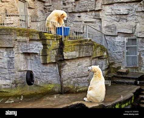 -Schönbrunn Zoo Park- Vienna (Austria Stock Photo - Alamy