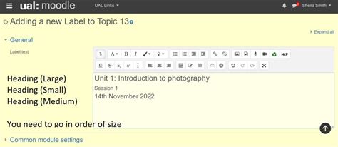 Accessibility The Moodle Text Editor Atto Lcc Teaching Hub