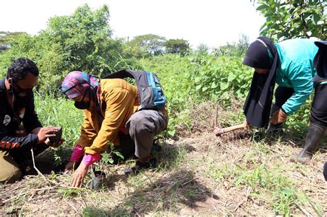 Foto Komunitas Pecinta Alam Tanam Pohon Sapu Tangan