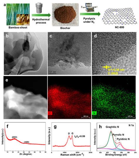 Catalysts Free Full Text Biomass Derived Nitrogen Doped Porous