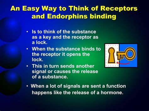 presentation on Endorphin hormone | PPT