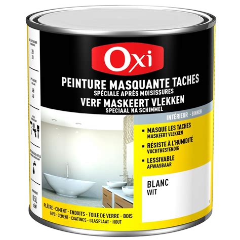 Peinture Blanche Anti Moisissures OXI Manubricole Manubricole