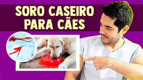 Aprenda Hoje A Fazer Soro Caseiro Para Cachorro Quando Usar