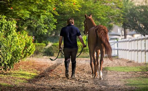 Dubai Polo And Equestrian Club Equestrian Show Jumping Dubai