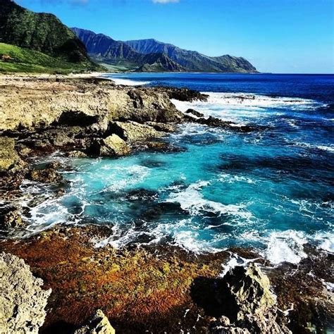 Kaena Point, Oahu | Mar