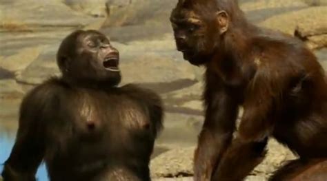 Australopithecus Afarensis Australopithecus Anamensis Documentary L