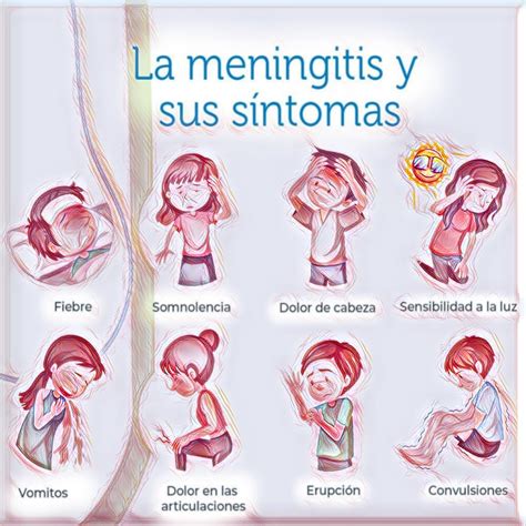 Meningoencefalitis Meningitis Y Encefalitis Web Oficial De