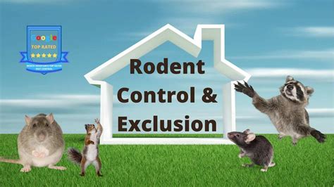 Porter Rodents Control Removal Methods Get Rid Of Rodents