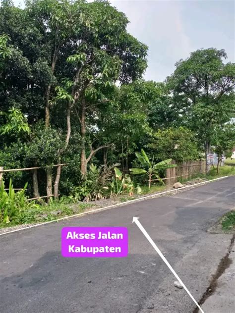 Di Jual Tanah Kebun Durian Dan Manggis Murah Luas 900 Meter Tanah