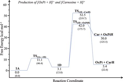 Potential Energy Surface For The Fragmentation Of The Protonated