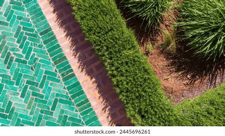 Topiary Royalty Free Images Stock Photos Pictures Shutterstock