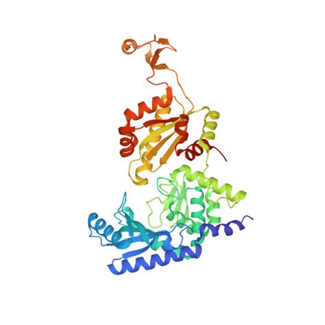 Rcsb Pdb X O Crystal Structure Of The A Fulgidus Cca Adding Enzyme