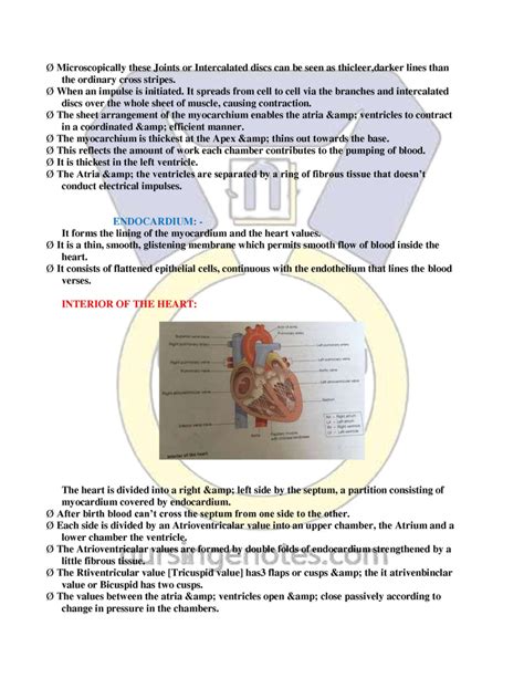 Anatomy And Physiology The Cardiovascular System Nursing Notes