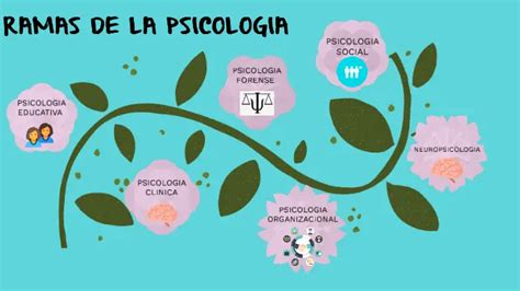 Las Tres Ramas De La Psicología Clínica Educativa Y Organizacional Colegio De Psicólogos Sj