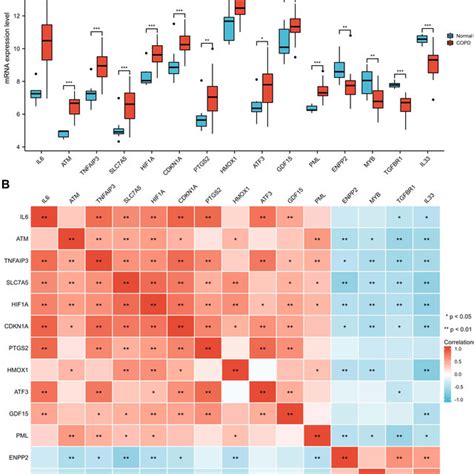 Identification of differentially expressed ferroptosis-related genes ... 