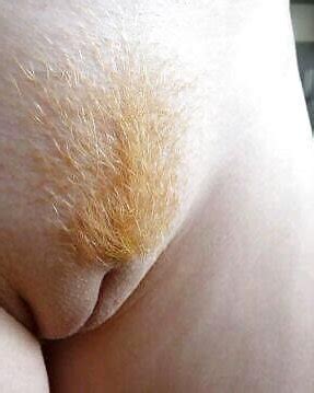 Camel Toe Panties Porn Pictures Xxx Photos Sex Images Pictoa