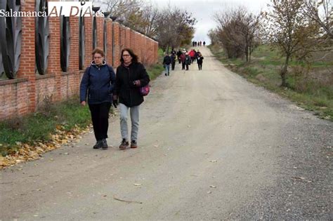 Patrullas Contra La Basuraleza En Pe Aranda Salamancartv Al D A