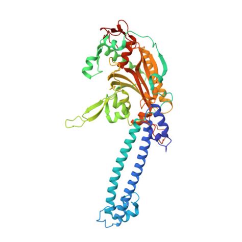 Rcsb Pdb L Crystal Structure Of The Human Seryl Trna Synthetase