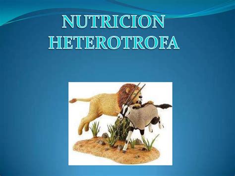 Nutricion Heterotrofa Ppt