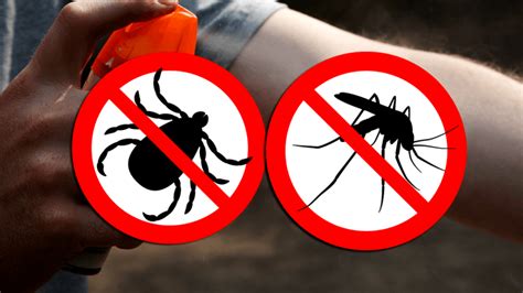 Preventing Mosquito And Tick Borne Diseases