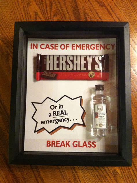 In Case Of Emergency Break Glass Shadow Box Completed With Vodka And Chocolate Also Works