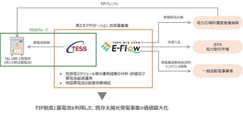 tessfitfip