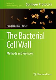 The Bacterial Cell Wall