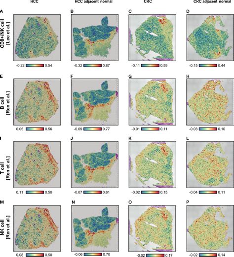 Frontiers Case Report Understanding The Impact Of Persistent Tissue