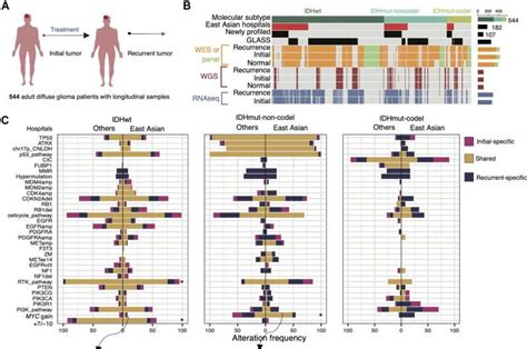 Self Constructed Machine Learning Model Reveals Early Predictors Of