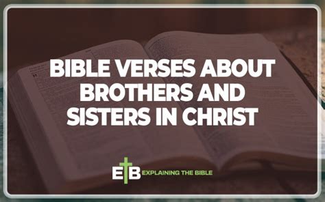 30 Bible Verses About Brothers And Sisters In Christ Explaining The Bible