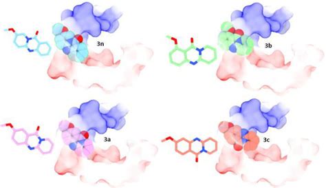 Binding Poses Of Compound 3n 3b 3a And 3c In The Active Site Pocket