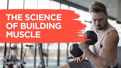 The Science Of Building Muscle Youtube