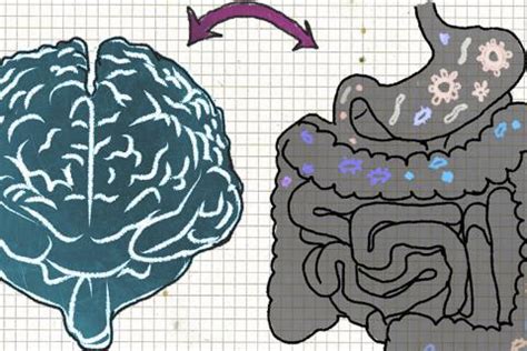 Confirman el vínculo entre el alzhéimer y la microbiota intestinal