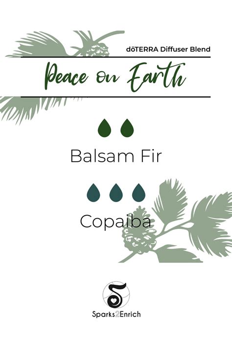 Balsam Fir And Copaiba Diffuser Blend Essential Oil Diffuser Recipes