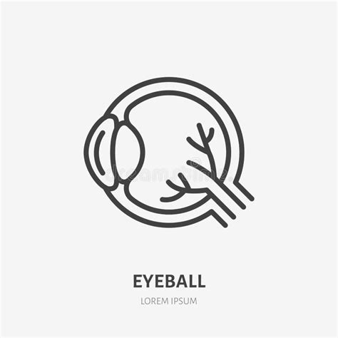 Eyeball Line Icon Vector Pictogram Of Human Organ Eye Orb