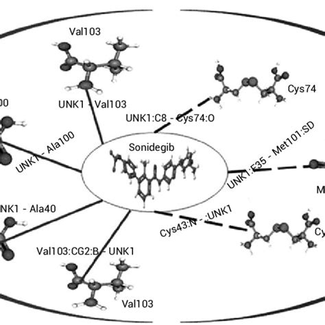 Interaction Amino Acid Residues Of Mstn With Revefenacin Through H Bond